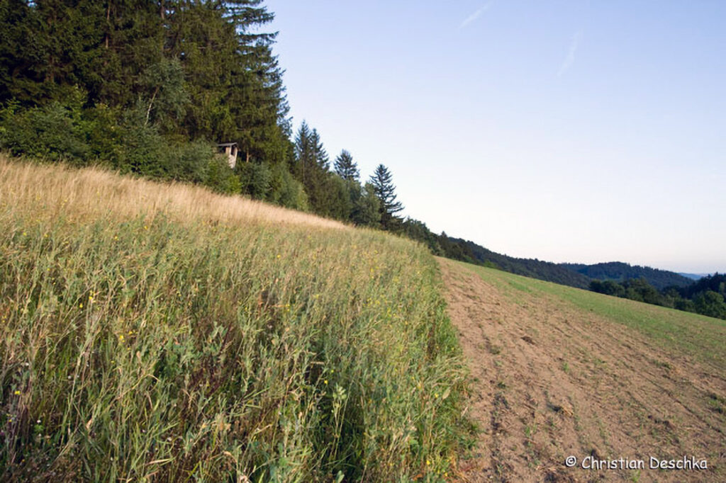 031_Jagd.jpg 031_Jagd