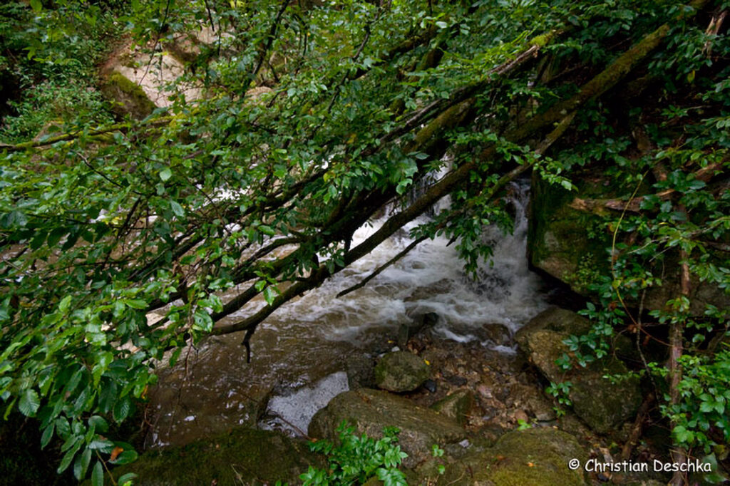 032_Naturschutzgebiet-Pesenbachtal