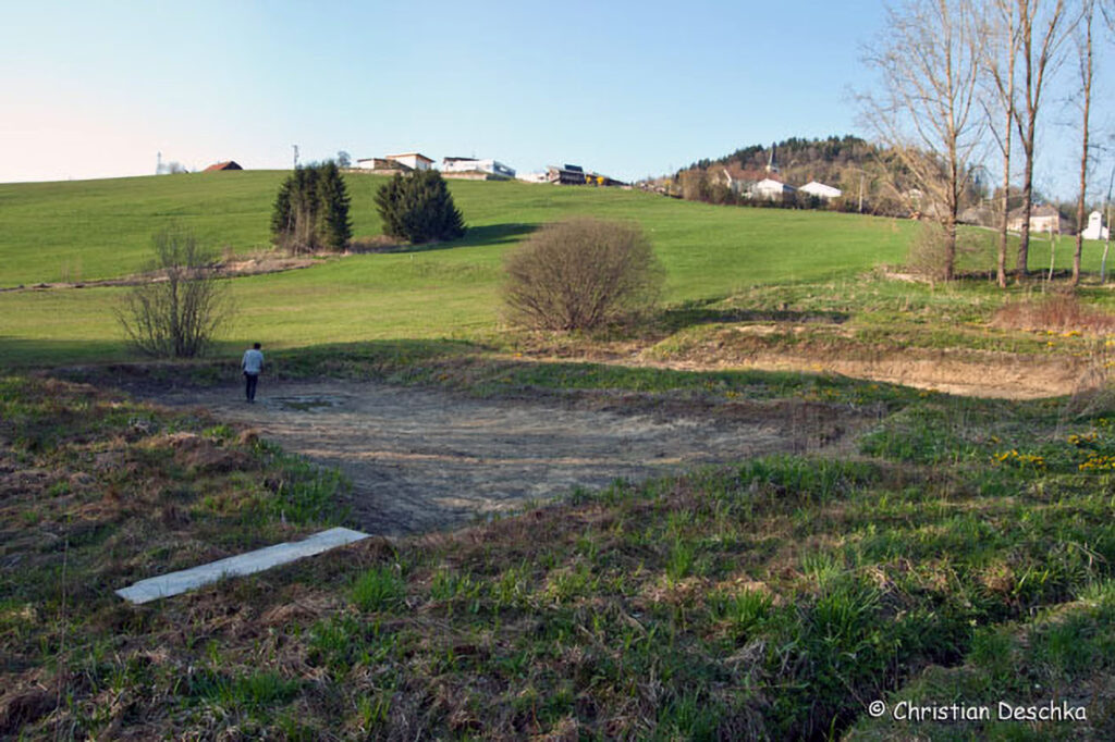 033_Amphibienprojekt