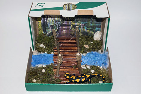 034_Feuersalamandermodell