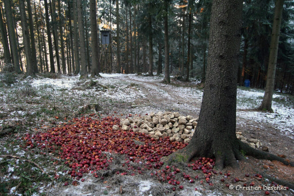 034_Jagd.jpg 034_Jagd