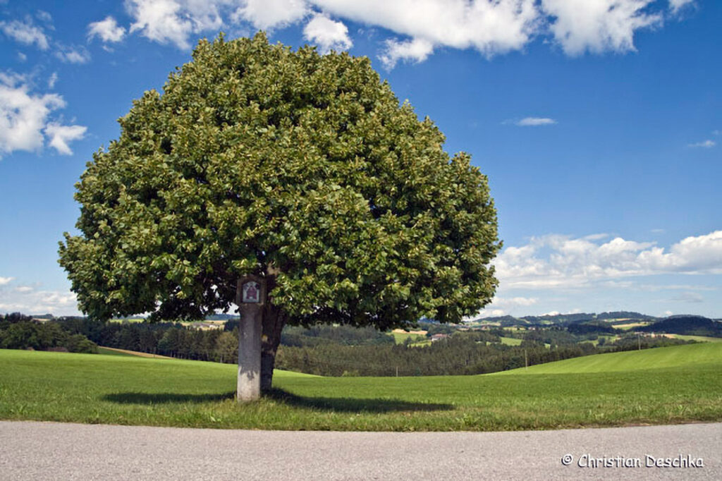 034_Kulturlandschaft