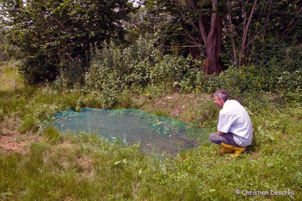 036_Amphibienprojekt.jpg 036_Amphibienprojekt