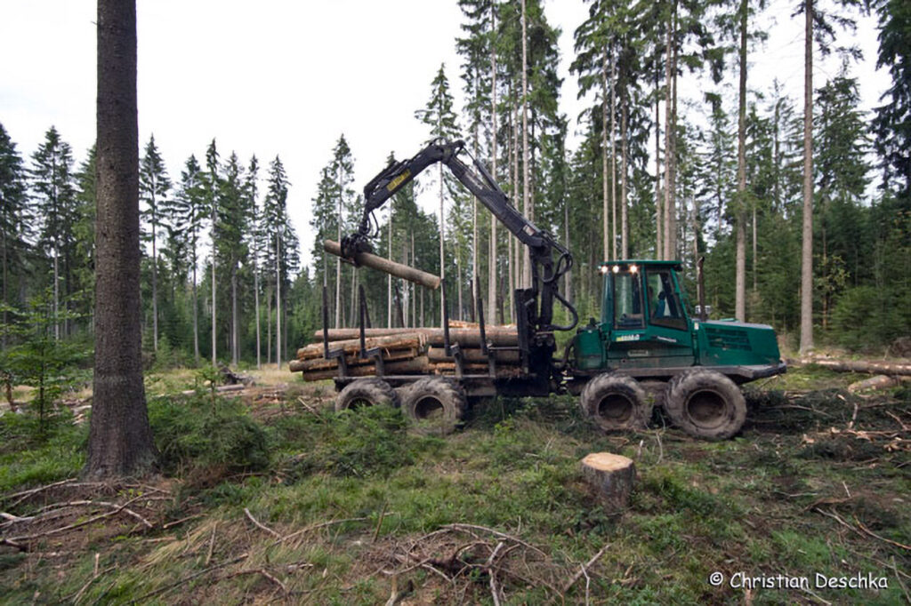 037_Jagd.jpg 037_Jagd