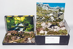 041_Feuersalamandermodell