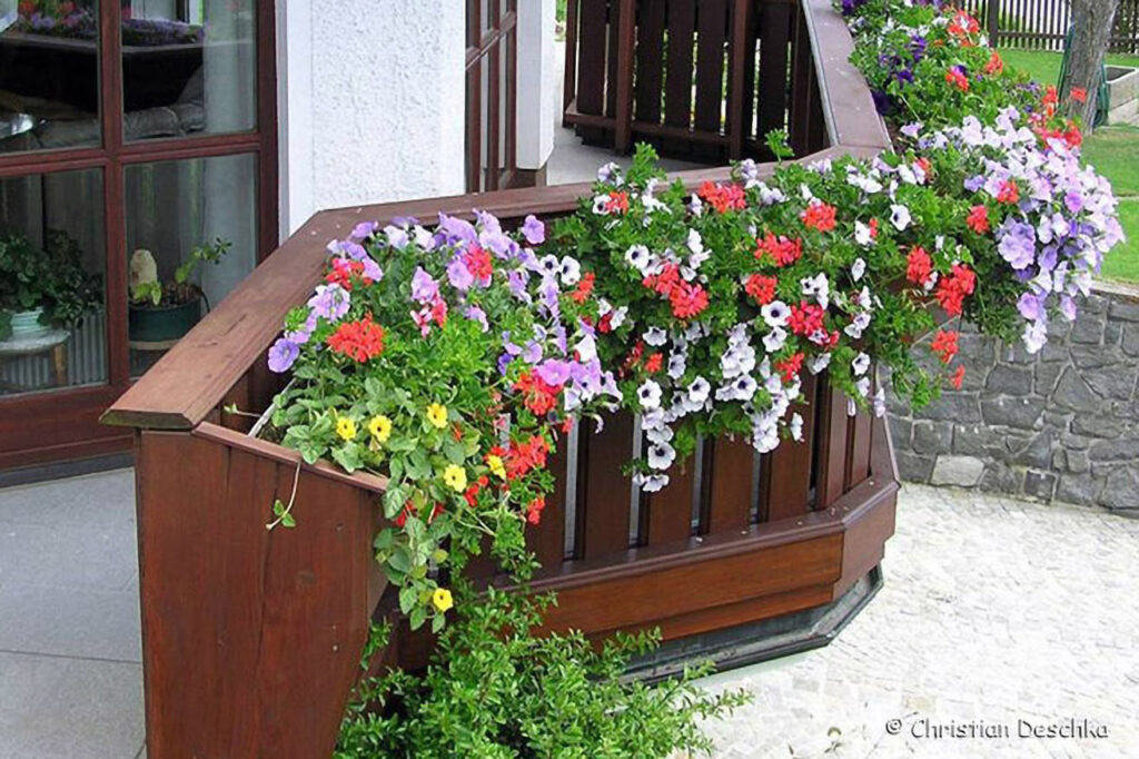 041_Voegel-an-Gebaeuden.jpg 041_Voegel-an-Gebaeuden