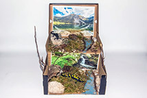 042_Feuersalamandermodell