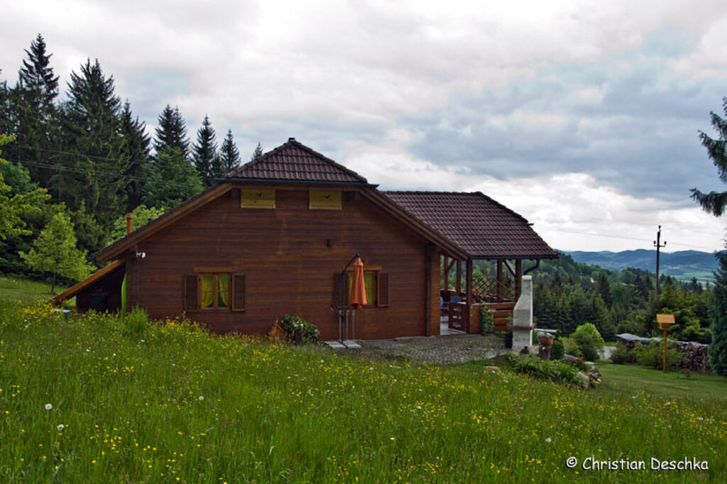 042_Fledermausprojekt