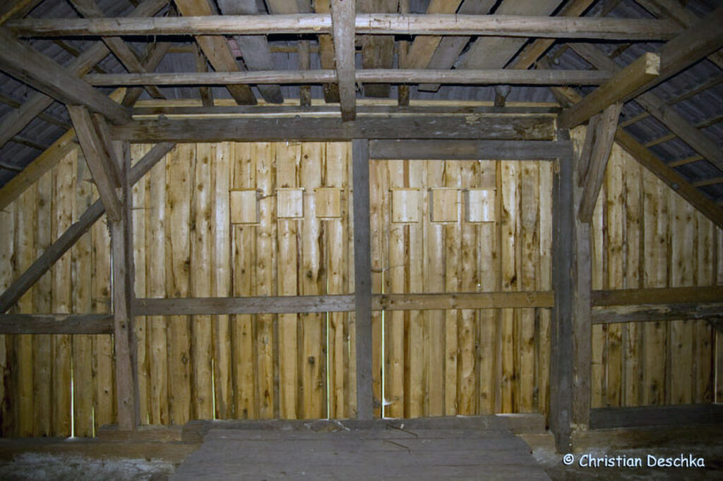 043_Mauerseglerprojekt