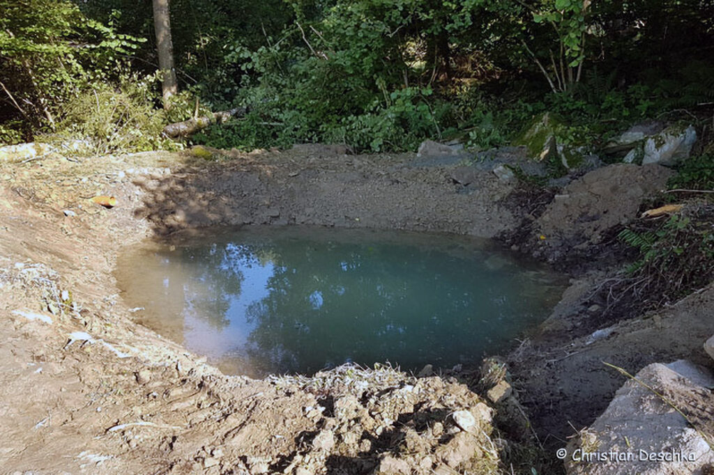 046_Feldwiese.jpg 046_Feldwiese