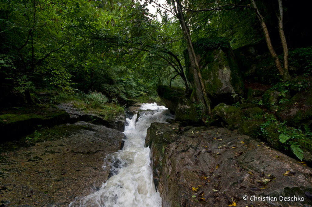 048_Naturschutzgebiet-Pesenbachtal.jpg 048_Naturschutzgebiet-Pesenbachtal