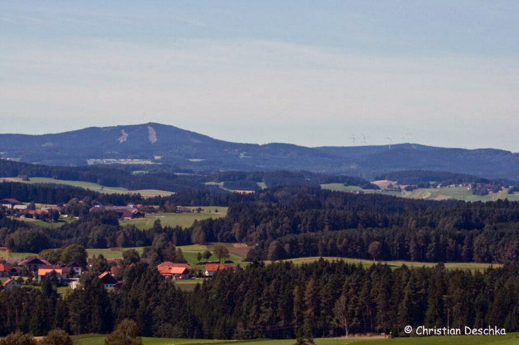050_Wildtauben.jpg 050_Wildtauben