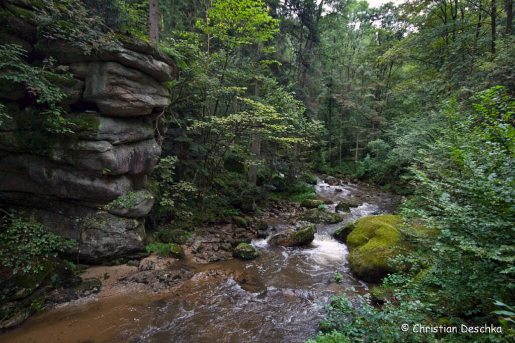 052_Naturschutzgebiet-Pesenbachtal