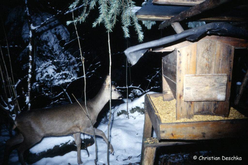 053_Jagd.jpg 053_Jagd