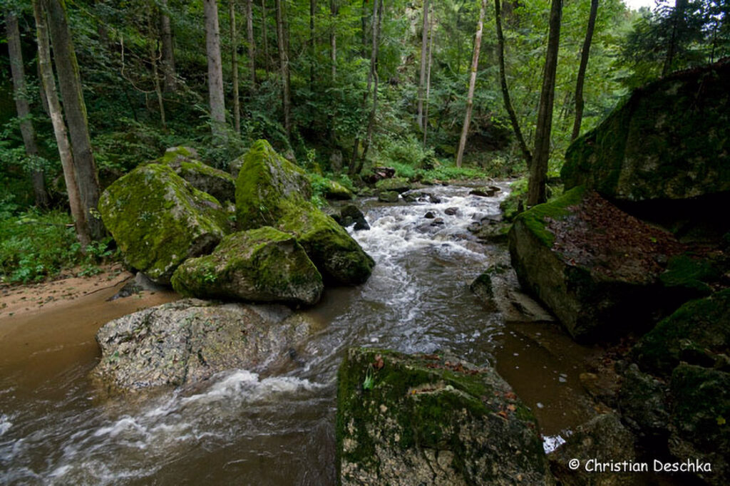 053_Naturschutzgebiet-Pesenbachtal