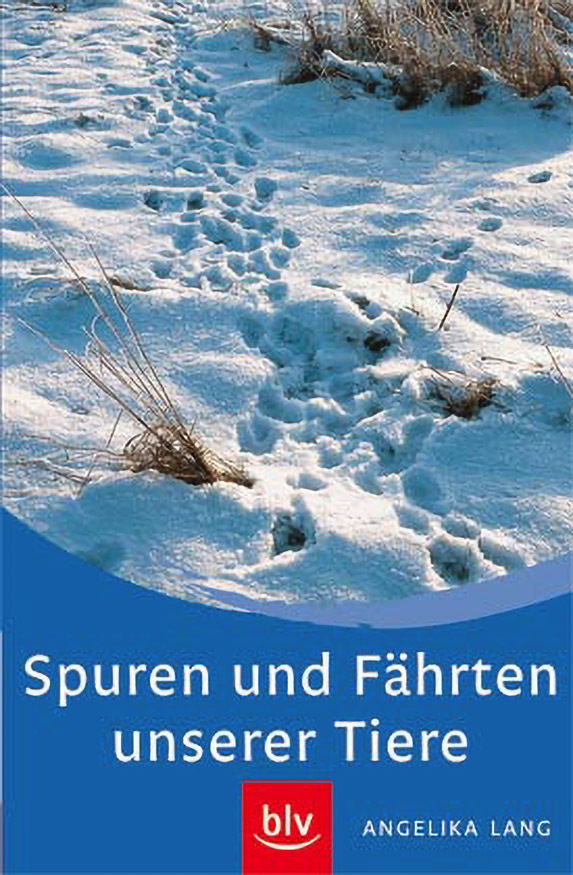 054_2_Tierspuren-im-Schnee