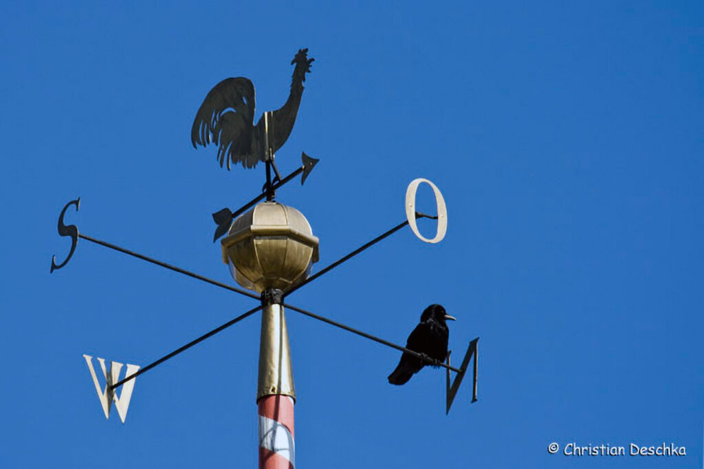 057_Pirschgang.jpg 057_Pirschgang
