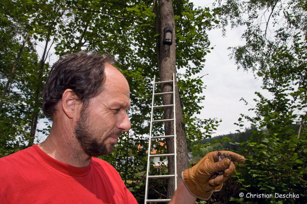 073_Fledermausprojekt